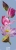 lotos-mellow-ways-mata-do-jogi.webp