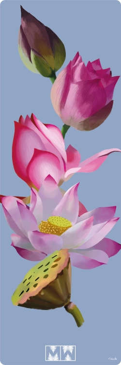 lotos-mellow-ways-mata-do-jogi.webp