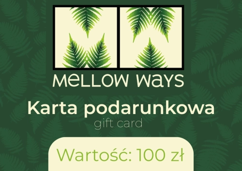 karta-podarunkowa 100 zł