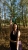 kettlebell4kg-mietowy_wynik.webp