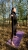 guma-power-band-pomaranczowa_wynik.webp