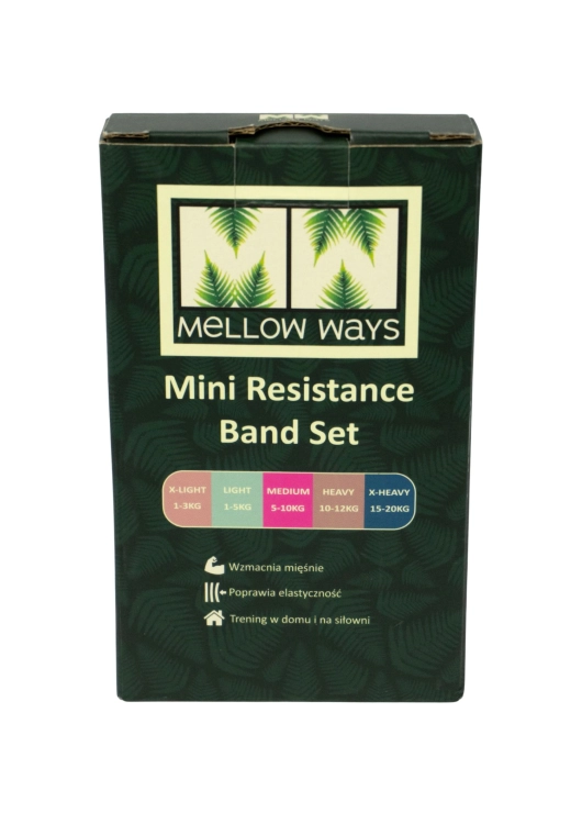 mini-resistance-bnd-ser.jpg